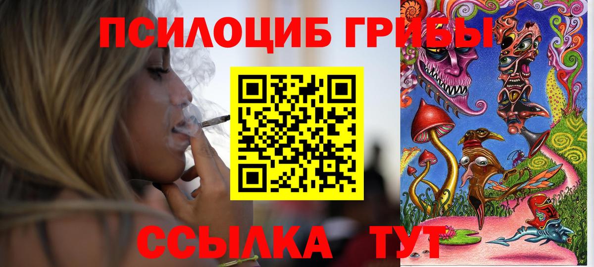 Псилоцибиновые грибы Psilocybine cubensis  Вход с VPN  Электросталь 